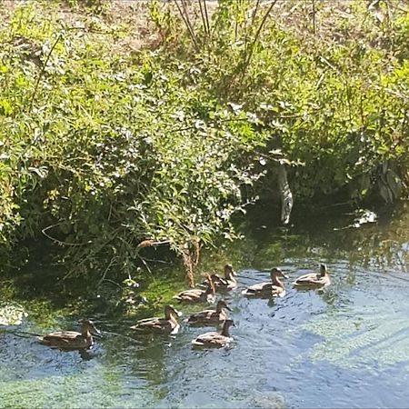 Les Gites De Ninon Moult Εξωτερικό φωτογραφία